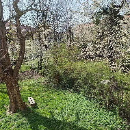 Fany 瓦乌布日赫